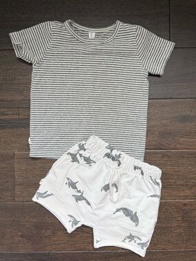 Cocoknot orca shorts and stripe tee 2T